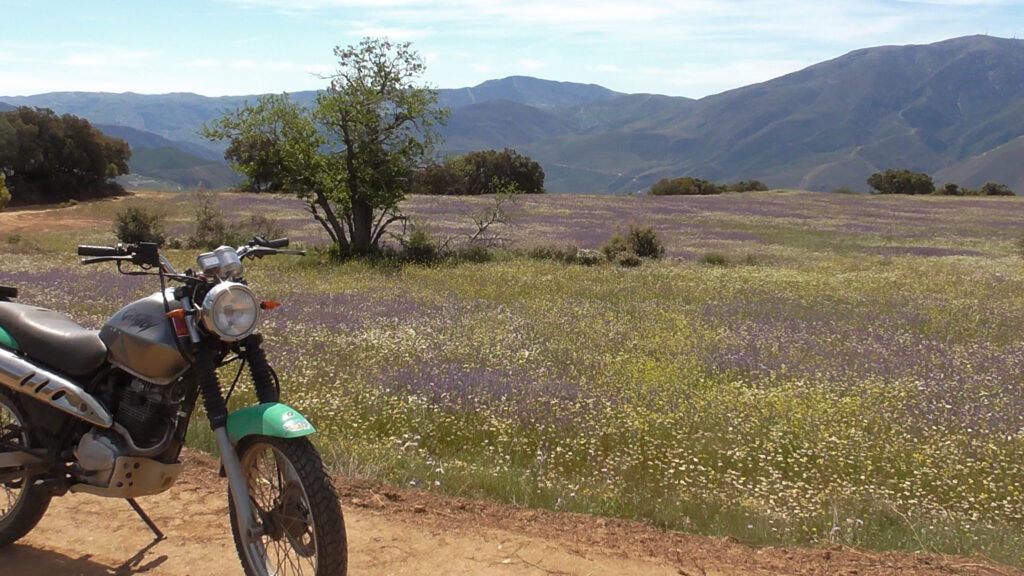 Erlebe Andalusien auf dem Motorrad! Kleine Gruppe, starke Community & persönliches Travel Buddy-Erlebnis. Jetzt Platz sichern!