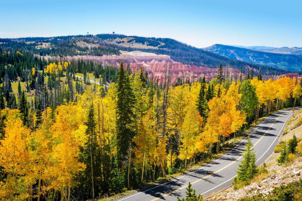 Utahs Scenic Byways – hier ist der Weg das Ziel 10 Utah Scenic Byways Wälder im Herbst (C) 2014 Mike Saemisch