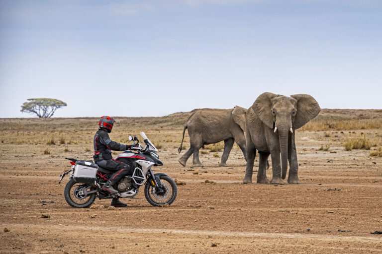 Multistrada V4 Rally für unbegrenzte Reise-Abenteuer